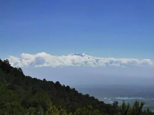 Looking across to Kilimanjaro from Mount Meru's Forest View Point