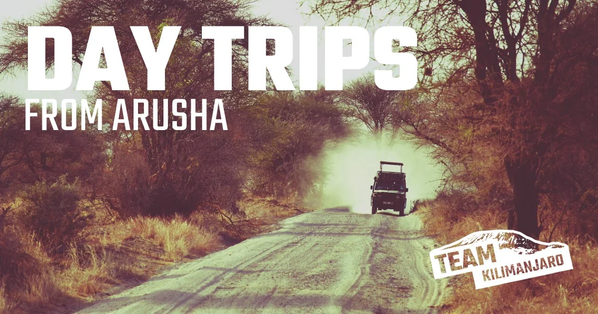 Arusha Day Trips
