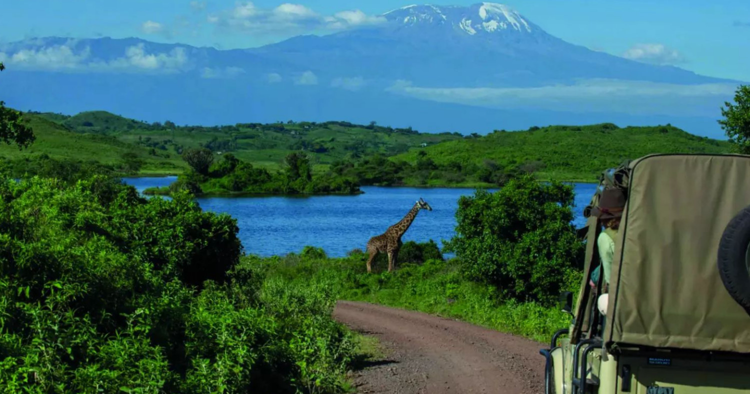 Kilimanjaro from Lake Duluti