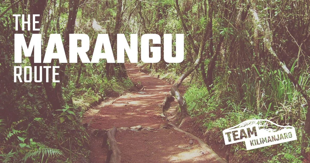 The Marangu Route