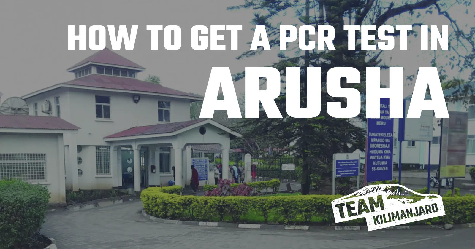 How to Get a PCR Test in Arusha