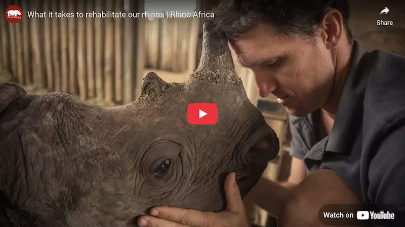Conserving Our Rhinos in South Africa