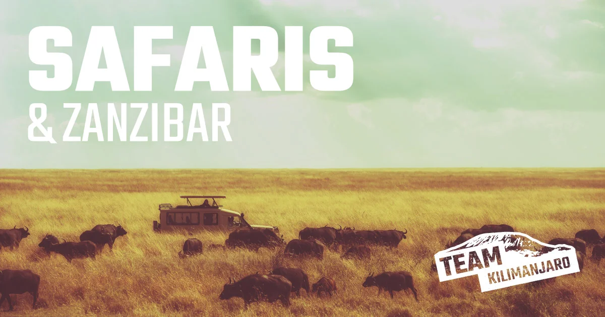 Tanzania safari