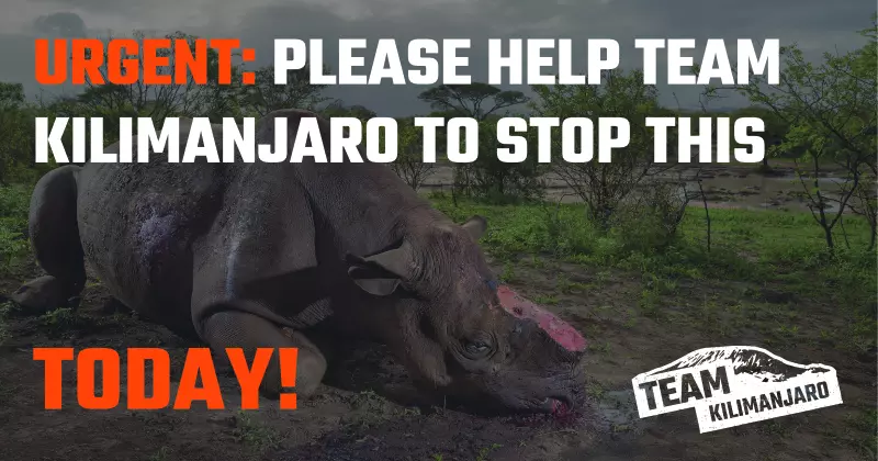 Help Stop Rhino Poaching in Africa